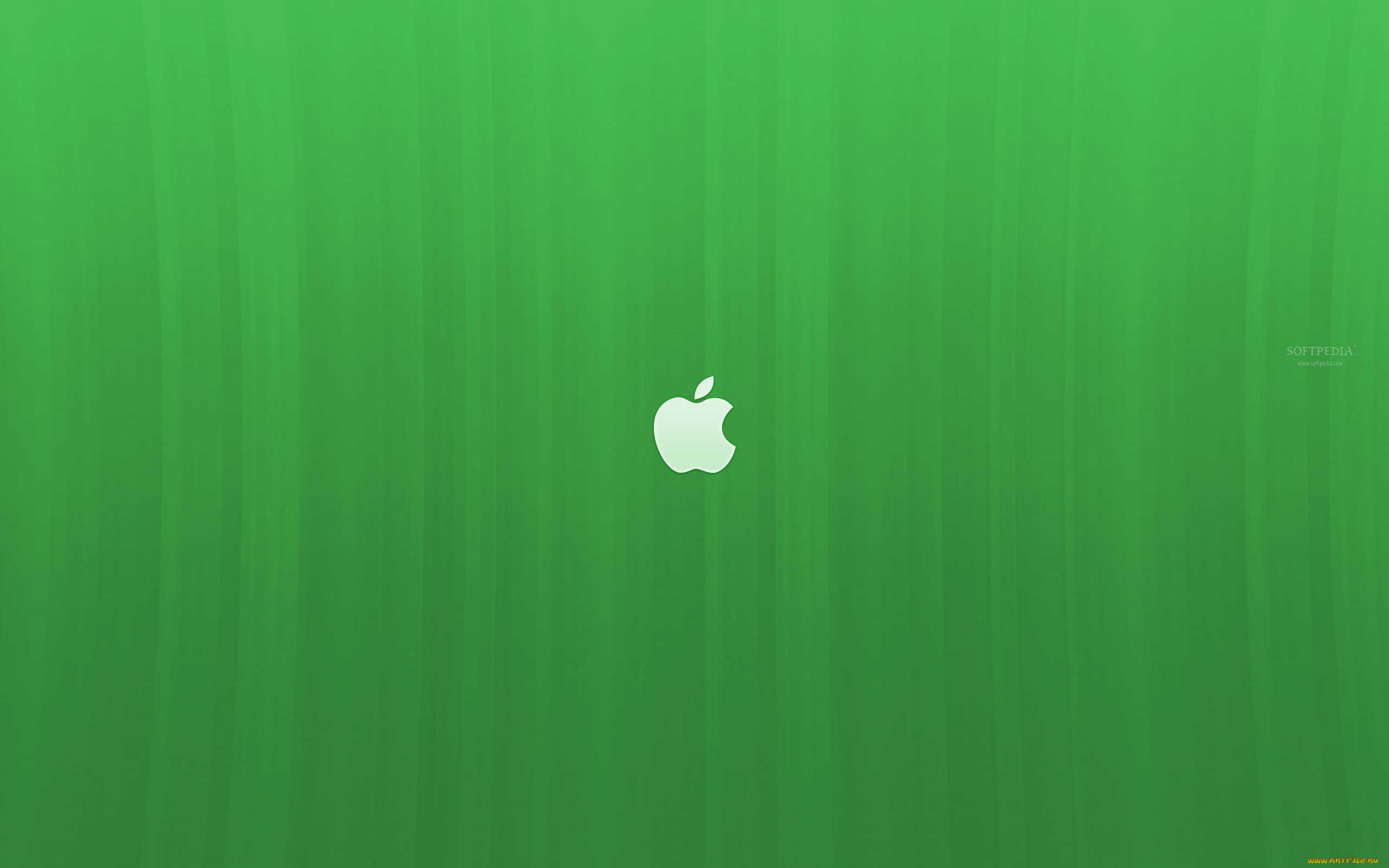 , apple